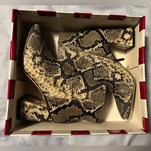 Size 10 snakeprint Circus by Sam Edelman booties